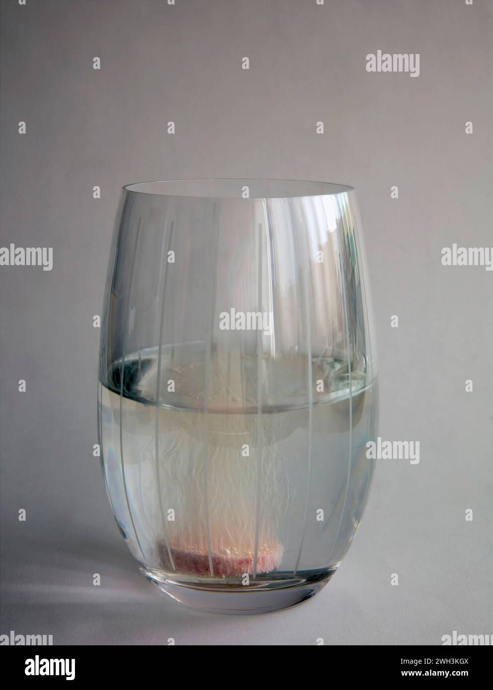 Un bicchiere d'acqua con una compressa effervescente che si scioglie Foto Stock