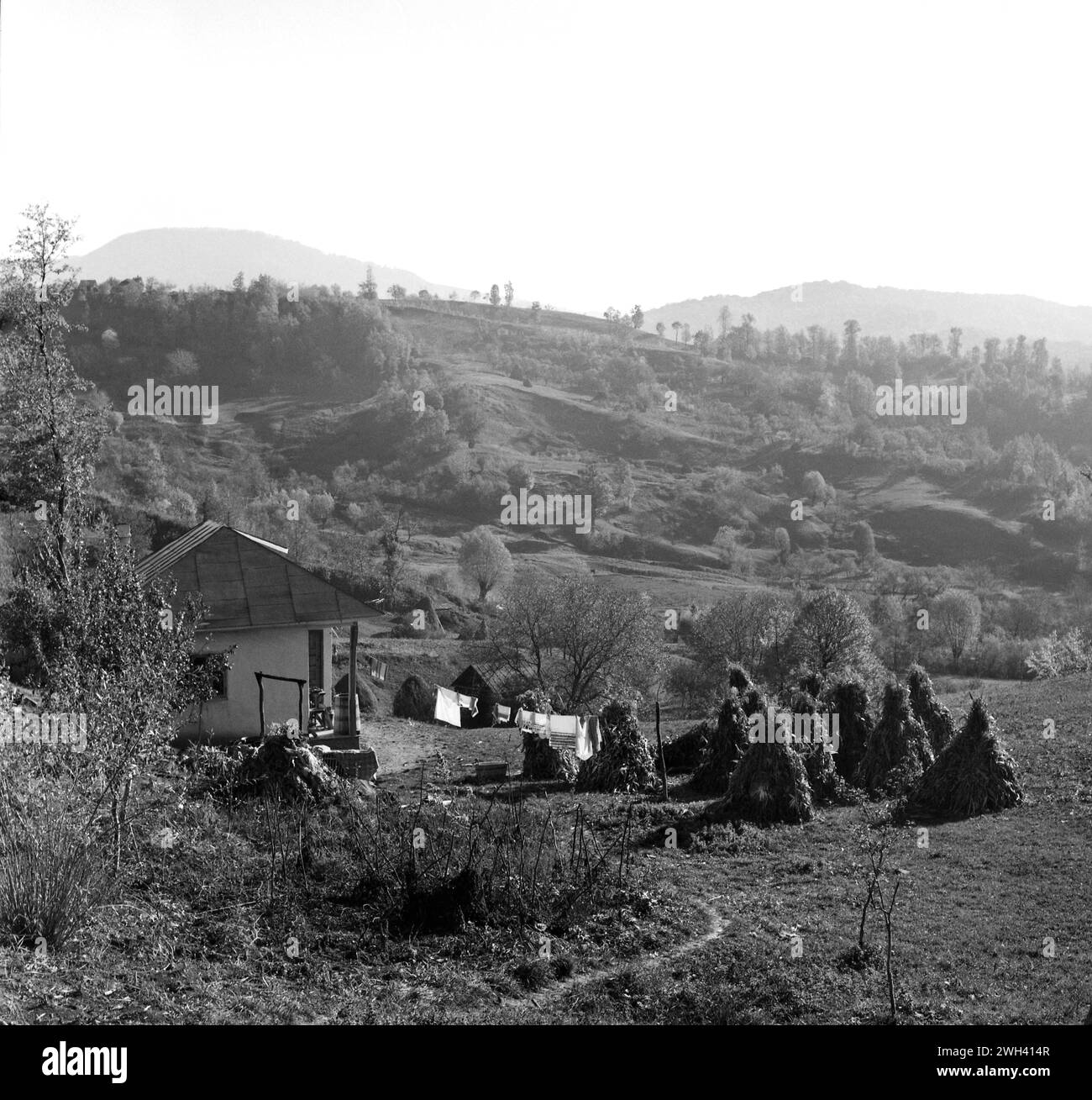 Contea di Vrancea, Romania, circa 1975. Vista di una proprietà rurale in una valle. Asciugamani cuciti a mano che si asciugano nel cortile. Gli stover di mais impilati si stanno asciugando al sole, per essere successivamente utilizzati come mangimi per bestiame. Foto Stock