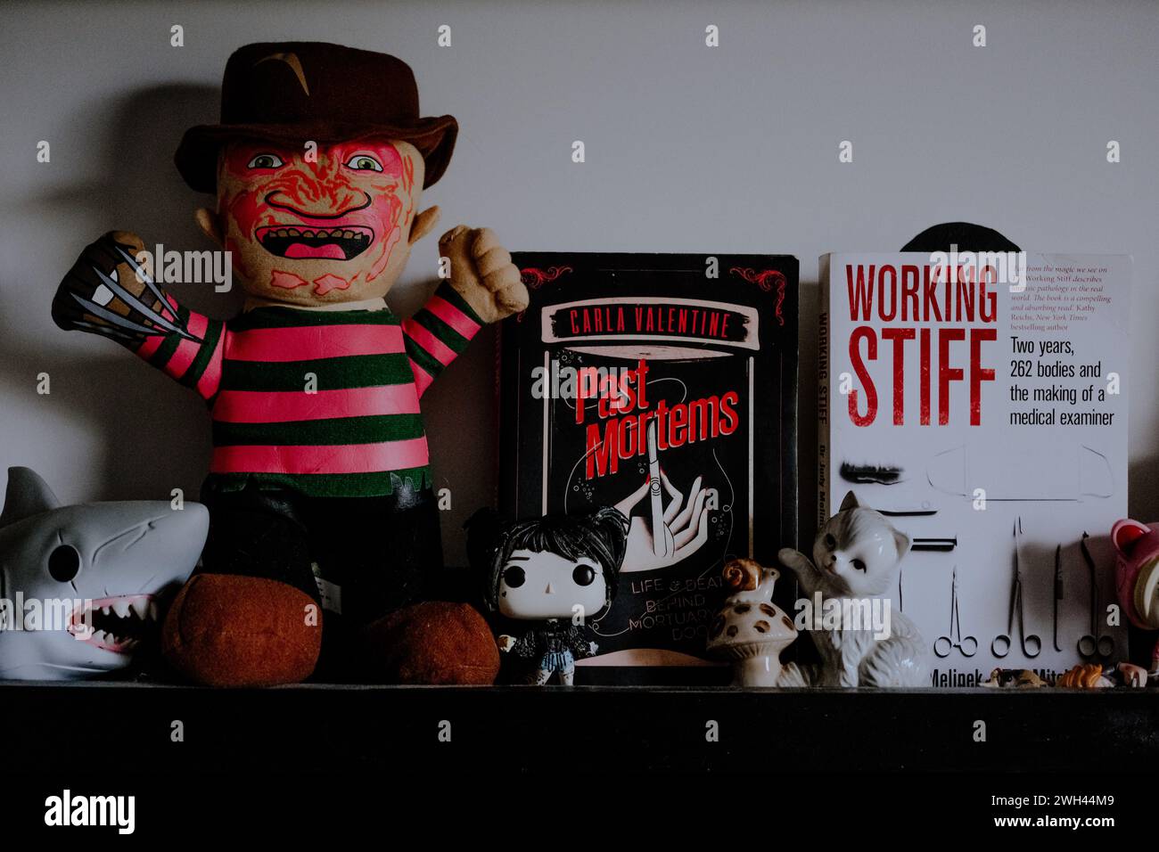 Freddy Krueger giocattolo con libri post mortem di medicina moderna. Foto Stock