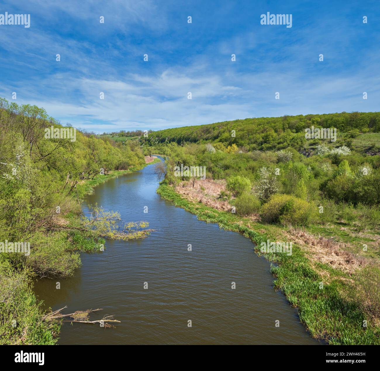 Splendida vista primaverile sul fiume Zbruch, Ternopil e Khmelnytsky confine regioni, Ucraina. Foto Stock