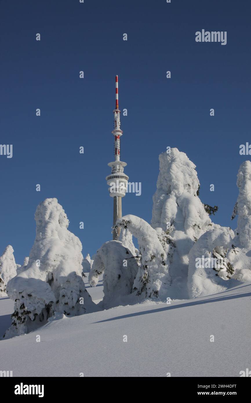 Montagne e abeti innevati nei Carpazi della Repubblica Ceca. Foto scattata su una pista da sci di fondo Foto Stock