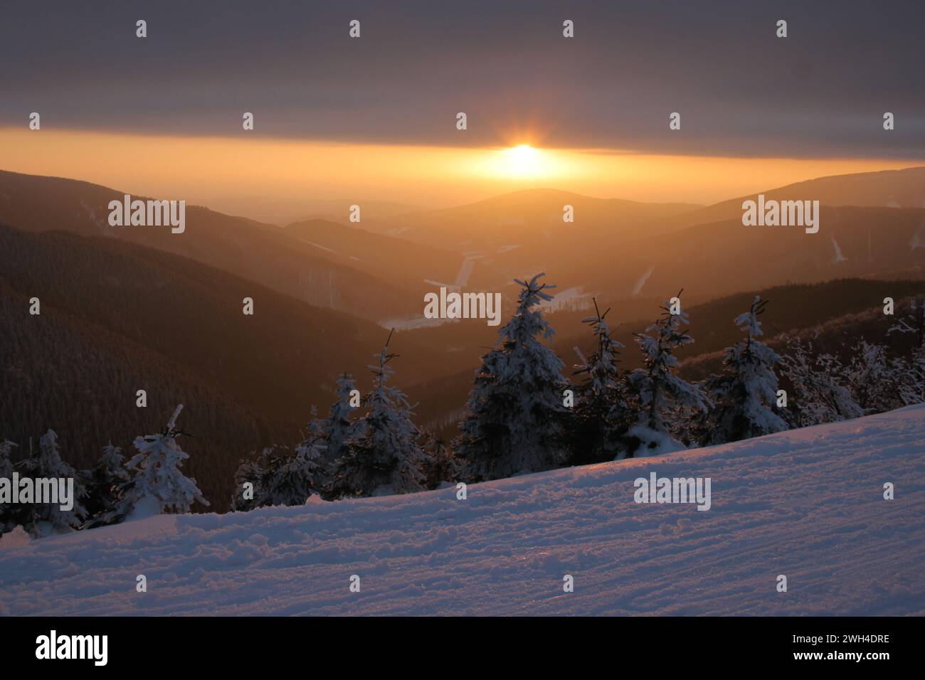 Tramonto sulle montagne e abeti innevati nei Carpazi della Repubblica Ceca. Foto scattata su una pista da sci di fondo Foto Stock