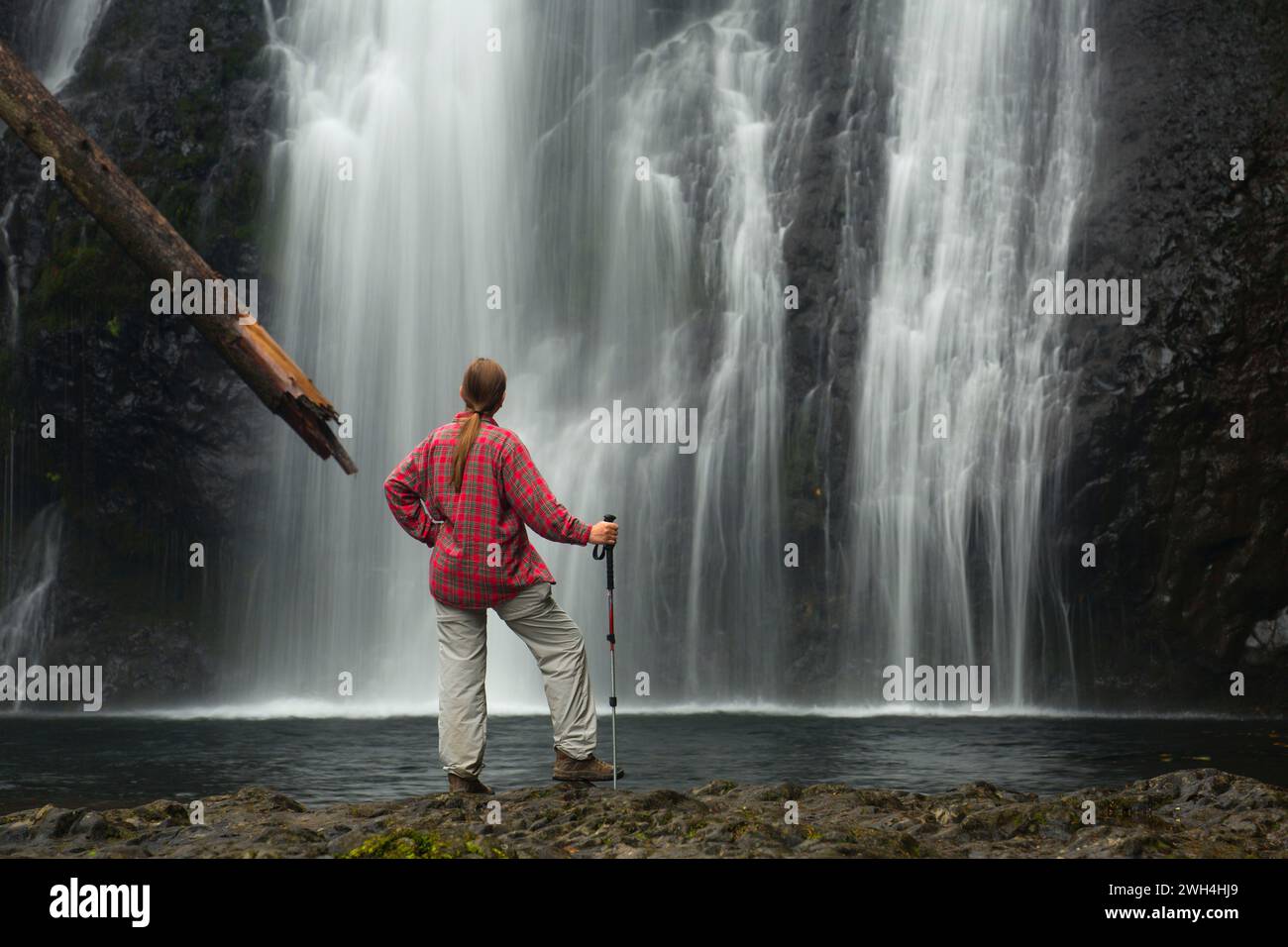 Nord superiore scende, Silver Falls State Park, Oregon Foto Stock