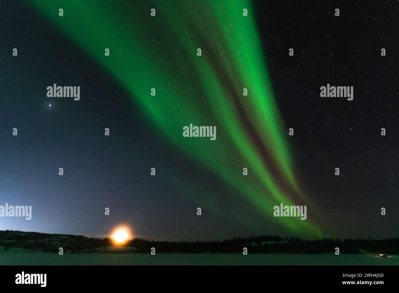 Aurora boreale, aurora boreale, a Yellowknife, territori del Nord-Ovest, Canada Foto Stock