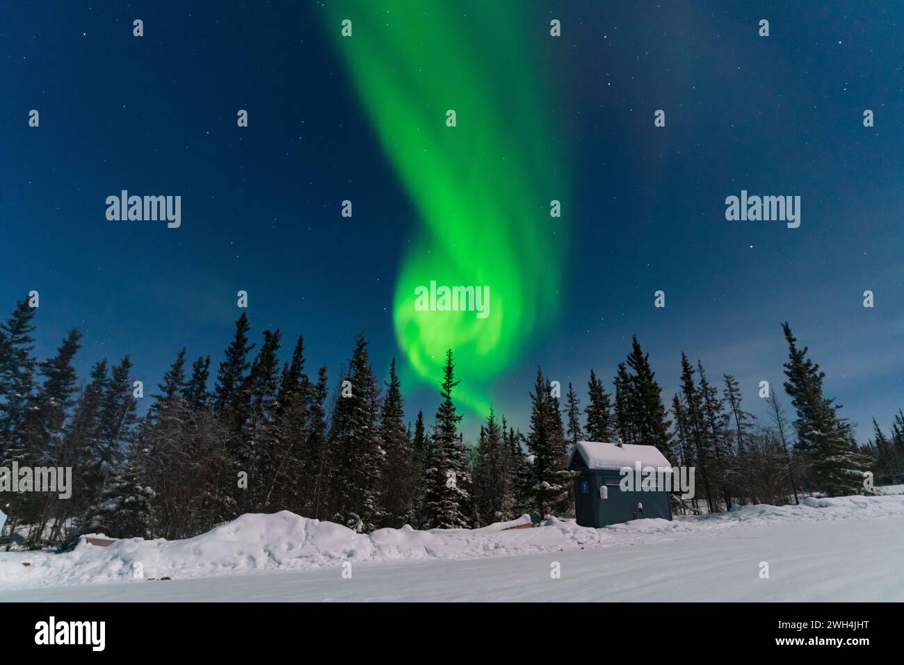 Aurora boreale, aurora boreale, a Yellowknife, territori del Nord-Ovest, Canada Foto Stock