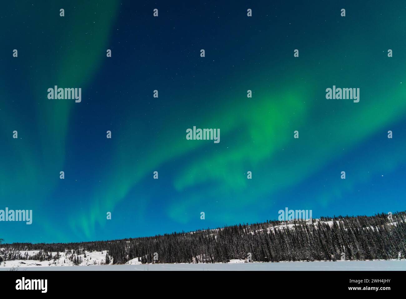 Aurora boreale, aurora boreale, a Yellowknife, territori del Nord-Ovest, Canada Foto Stock