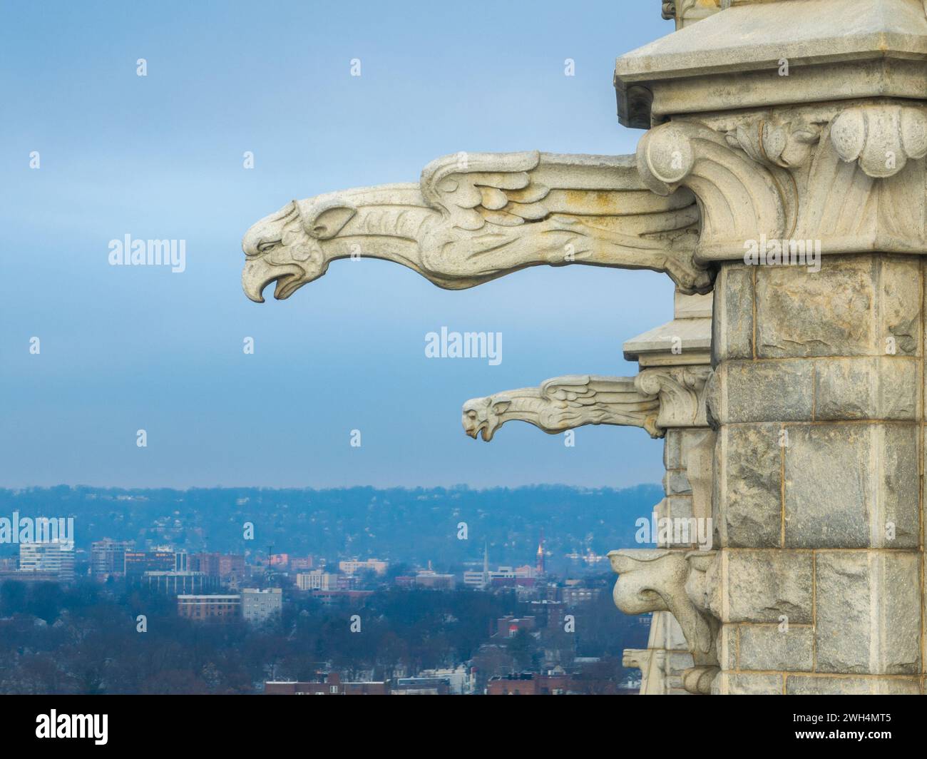 Cattedrale Basilica del Sacro cuore di Newark, NJ È la quinta cattedrale più grande del Nord America ed è la sede dell'arcidio cattolico Foto Stock