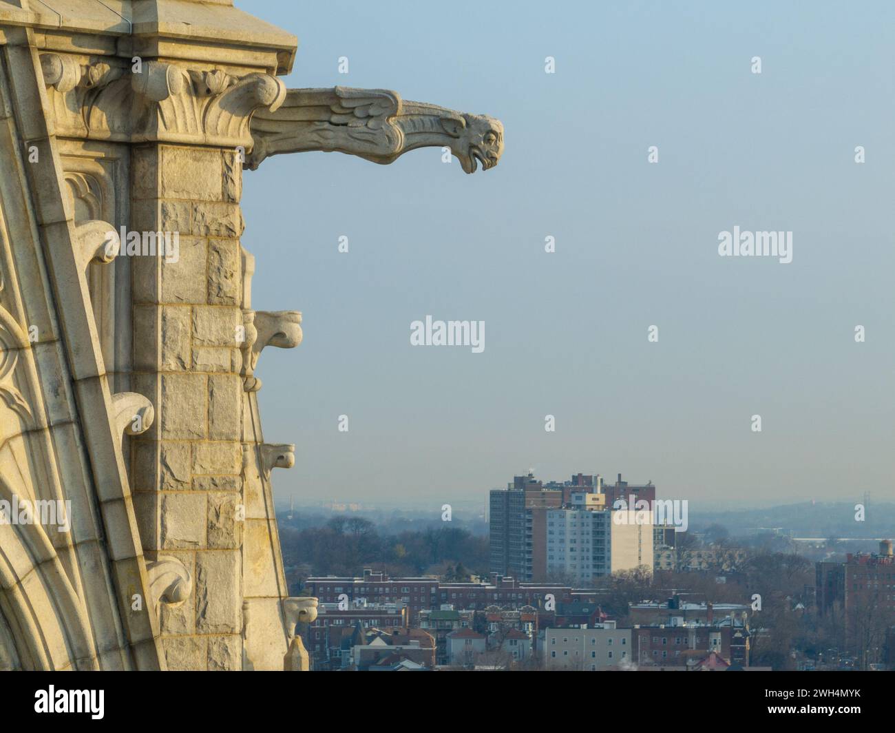 Cattedrale Basilica del Sacro cuore di Newark, NJ È la quinta cattedrale più grande del Nord America ed è la sede dell'arcidio cattolico Foto Stock