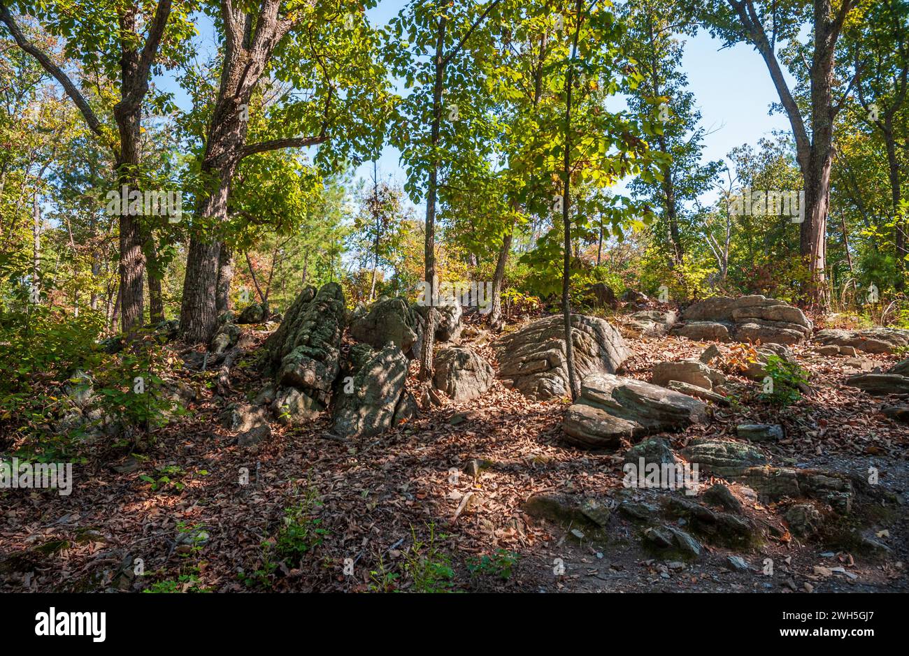 Kings Mountain National Military Park, South Carolina, Stati Uniti Foto Stock