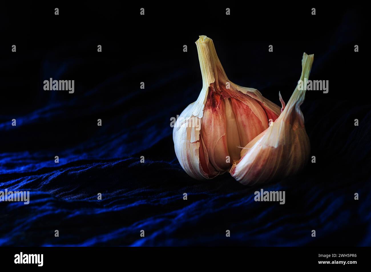 Un singolo aglio si apre su uno sfondo tessile blu scuro: Fotografie scure e piovose Foto Stock