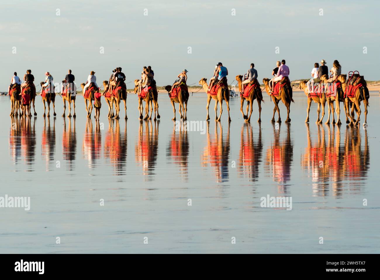 Un gruppo di persone si diverte a fare escursioni in cammello lungo la splendida spiaggia dell'Australia Occidentale. Foto Stock