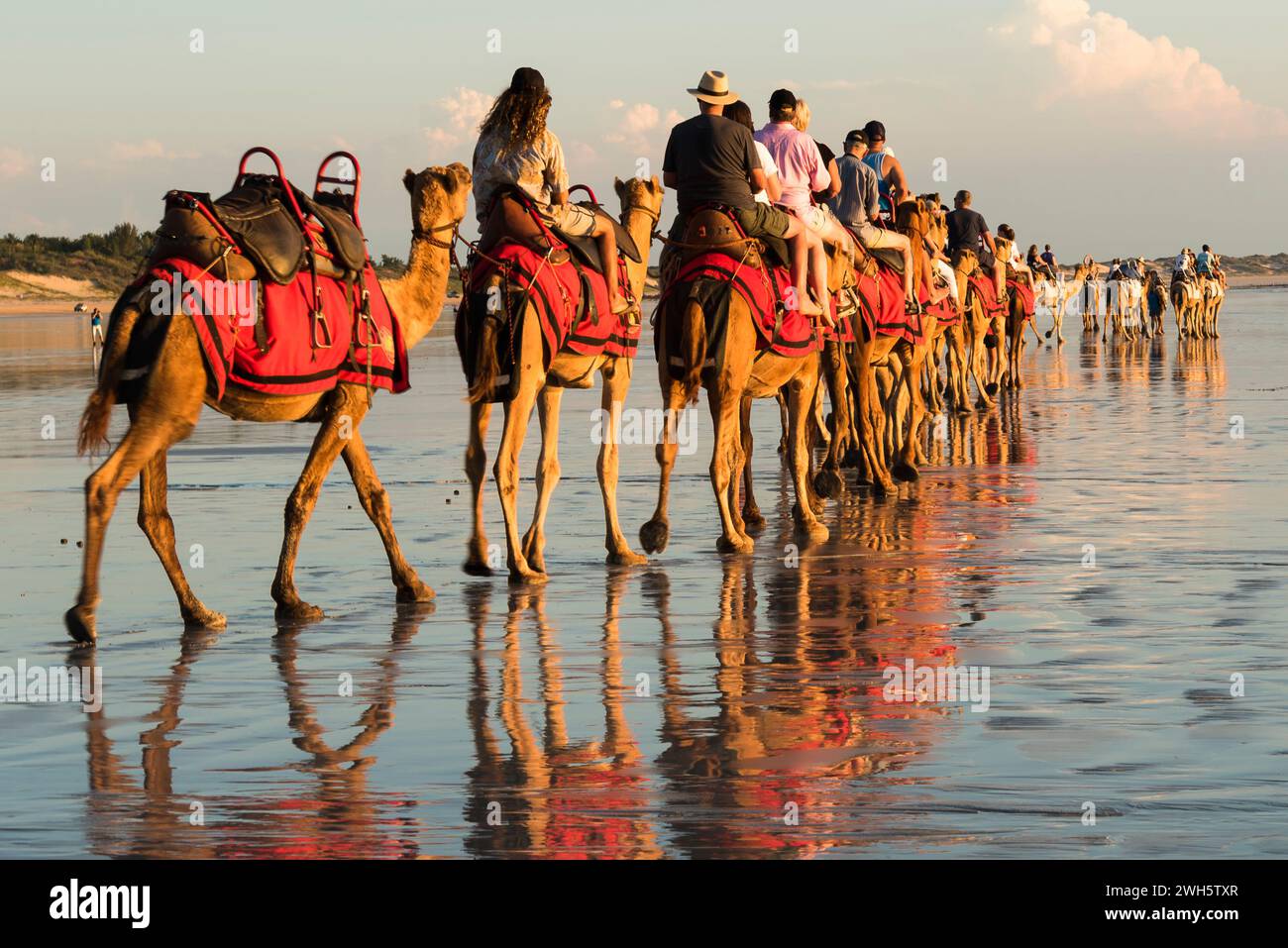 Un gruppo di persone si diverte a fare escursioni in cammello lungo la splendida spiaggia dell'Australia Occidentale. Foto Stock