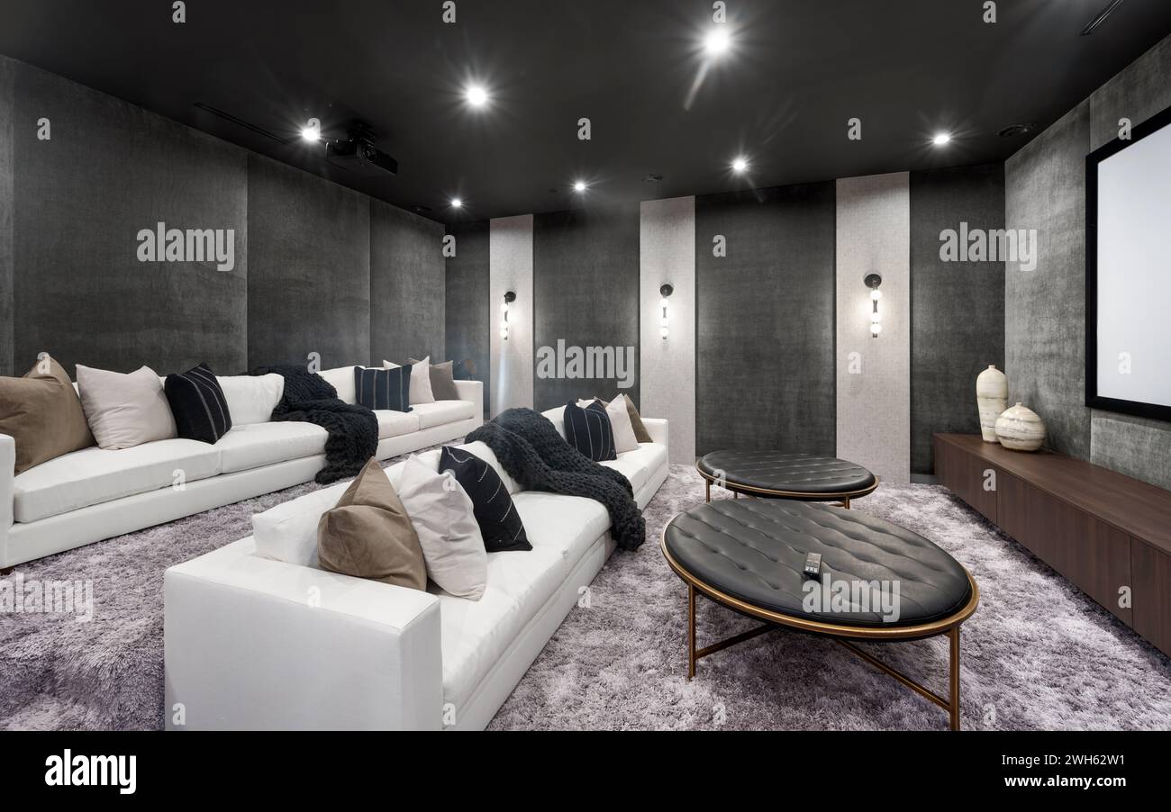 Una camera moderna ben progettata con mobili eleganti e pareti grigie eleganti Foto Stock
