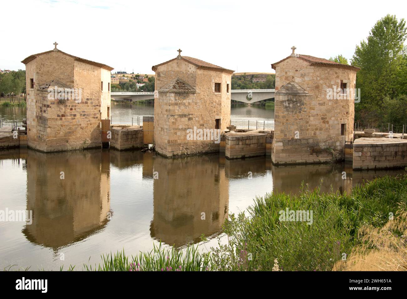 Zamora città, Duero fiume con aceñas de Olivares. Castilla y Leon, Spagna. Foto Stock