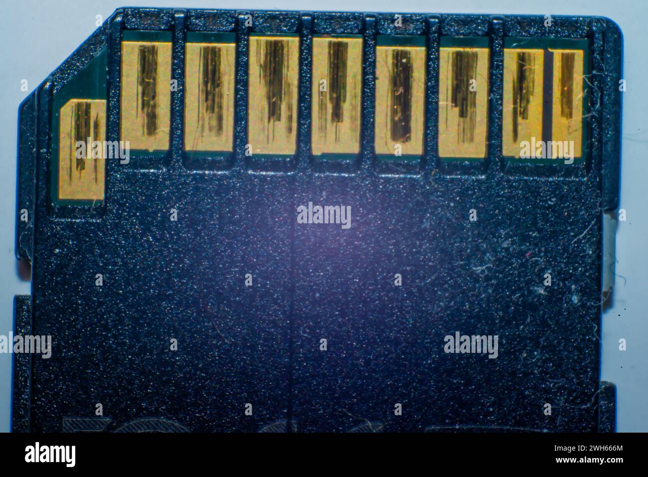 Una foto macro dettagliata di una scheda SD, che mostra la tecnologia compatta per l'archiviazione digitale dei dati e il trasferimento delle informazioni senza problemi. Foto Stock