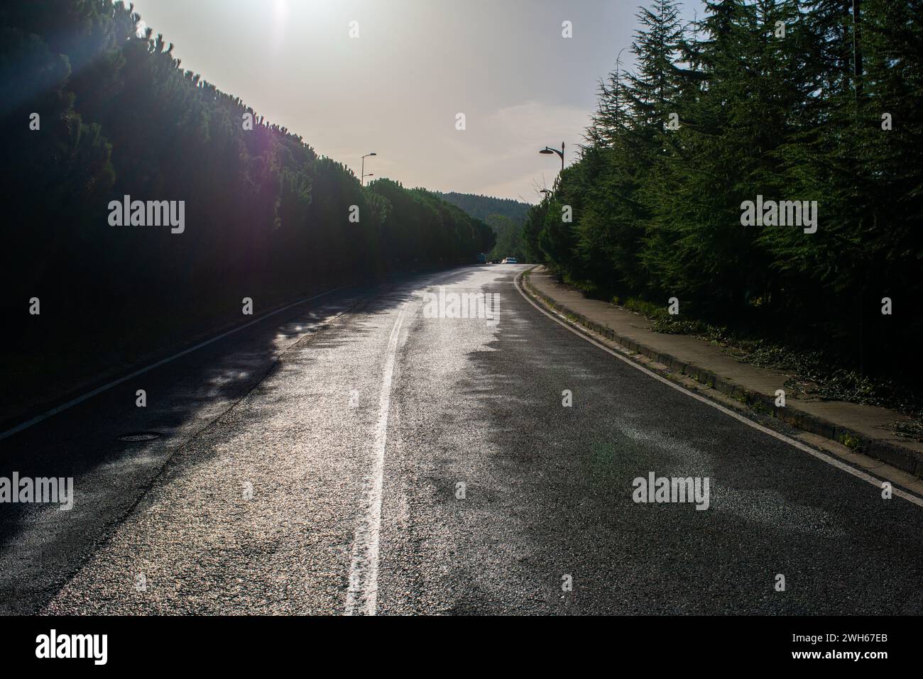 Una vista serena di una strada asfaltata piovosa in natura, la sua superficie bagnata risplende di umidità, catturando la tranquillità di un paesaggio grigio e umido. Foto Stock