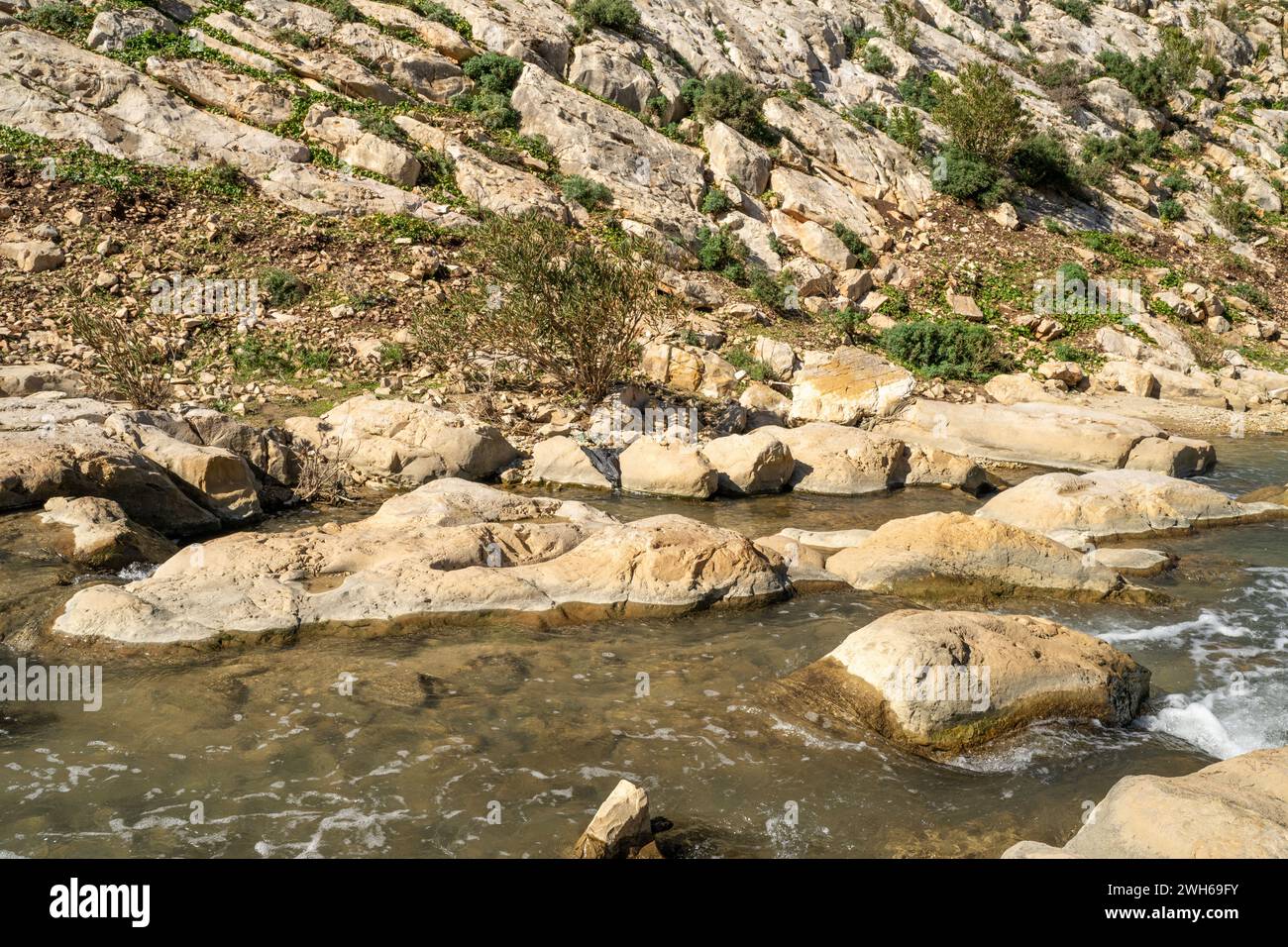 Paesaggio della Tunisia settentrionale - regione del Sejnene - Tunisia Foto Stock