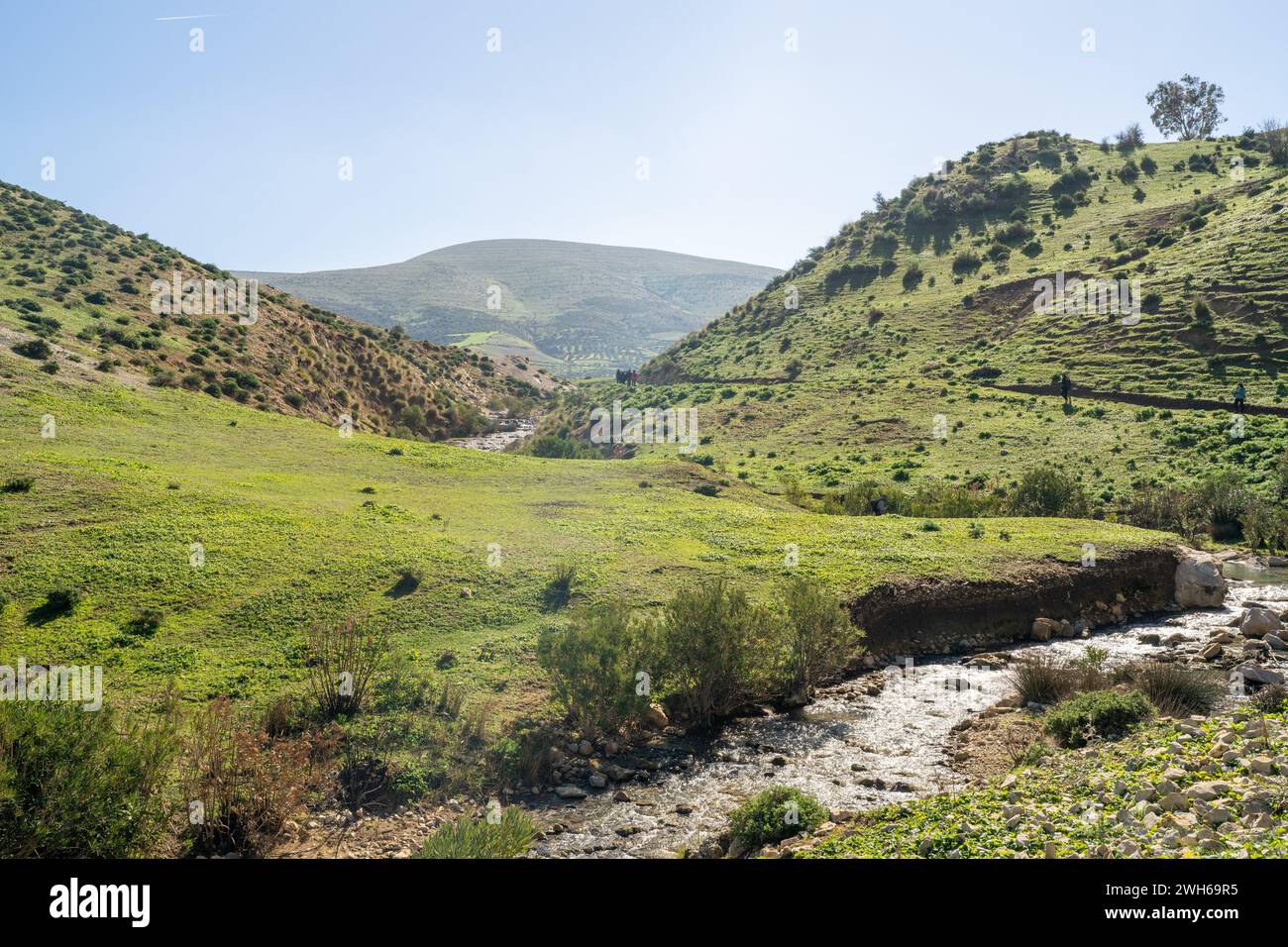 Paesaggio della Tunisia settentrionale - regione del Sejnene - Tunisia Foto Stock