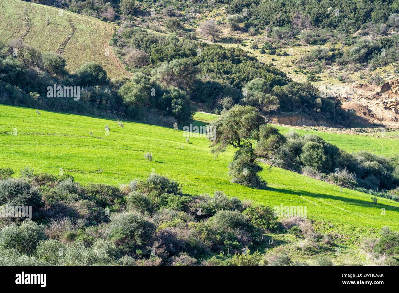 Paesaggio della Tunisia settentrionale - regione del Sejnene - Tunisia Foto Stock