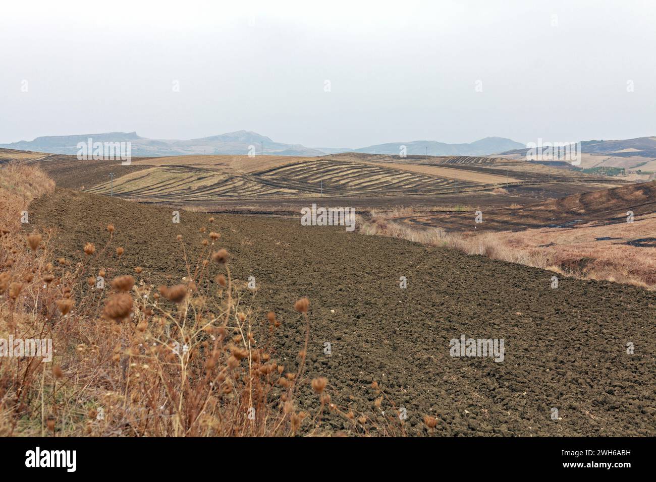 Madonie, Sicilia Foto Stock