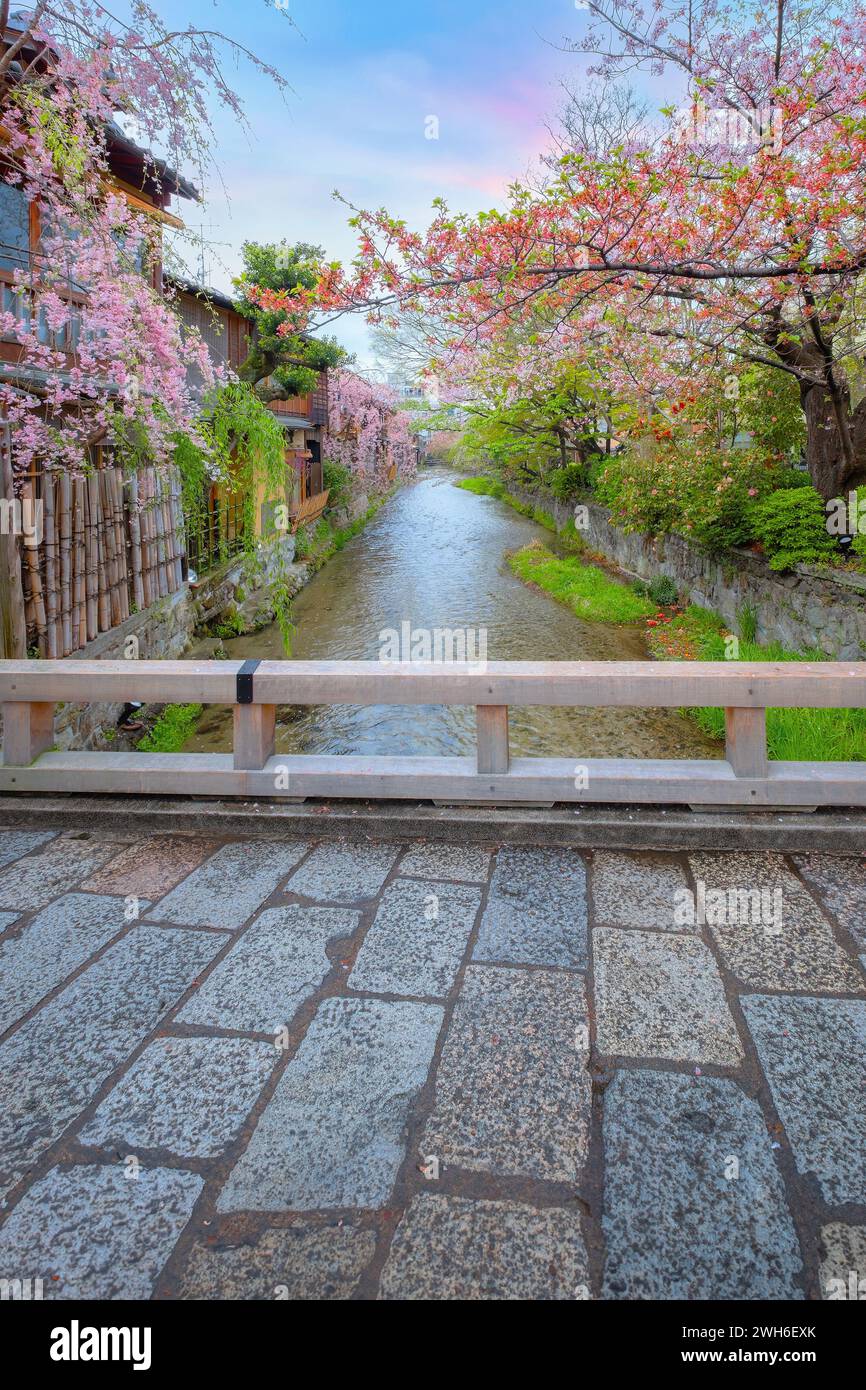 Kyoto, Giappone - 6 aprile 2023: Il ponte Tatsumi bashi è il luogo simbolo del distretto di Gion. E' un piccolo ponte che attraversa il torrente Shirakawa che scorre Foto Stock