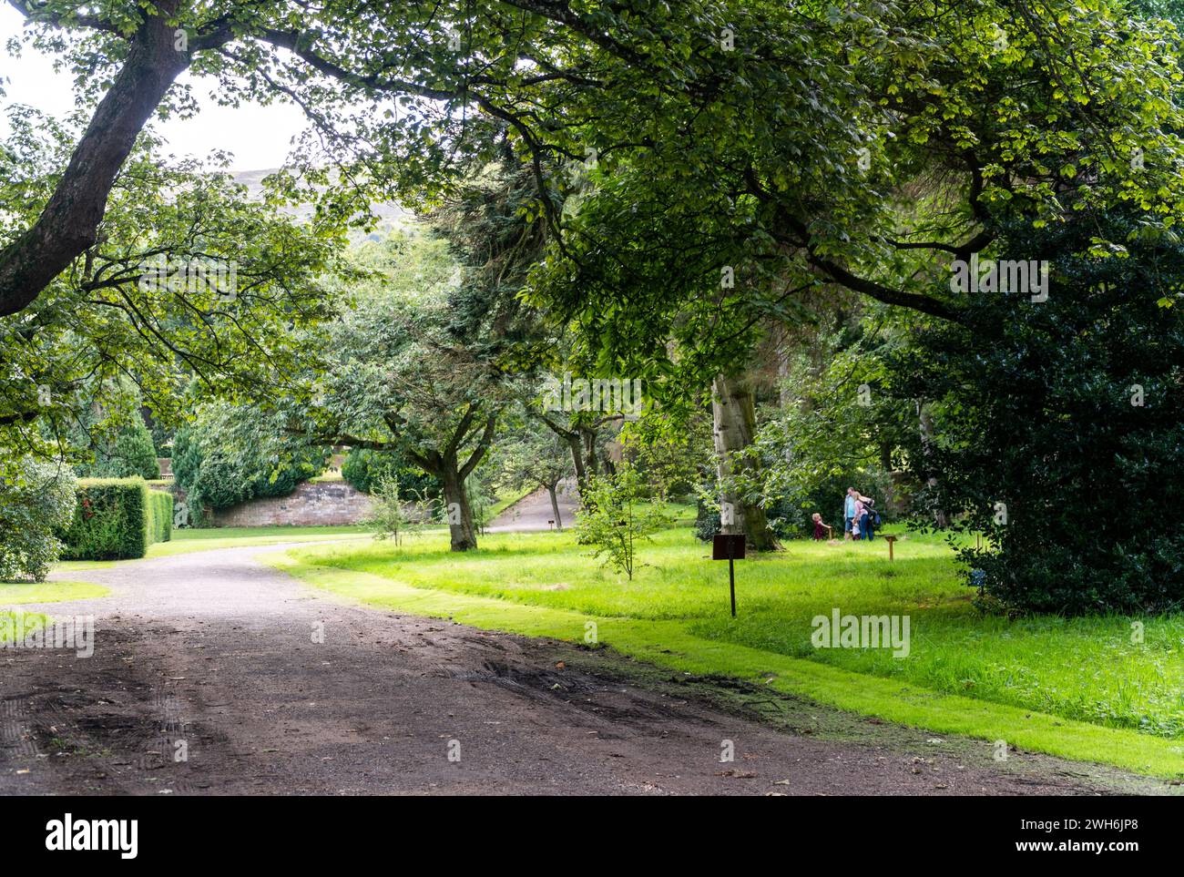 Vialetto circondato da alberi lussureggianti in un parco panoramico Foto Stock