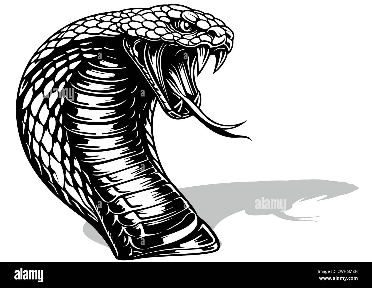 Disegno di una testa Cobra indiana Illustrazione Vettoriale