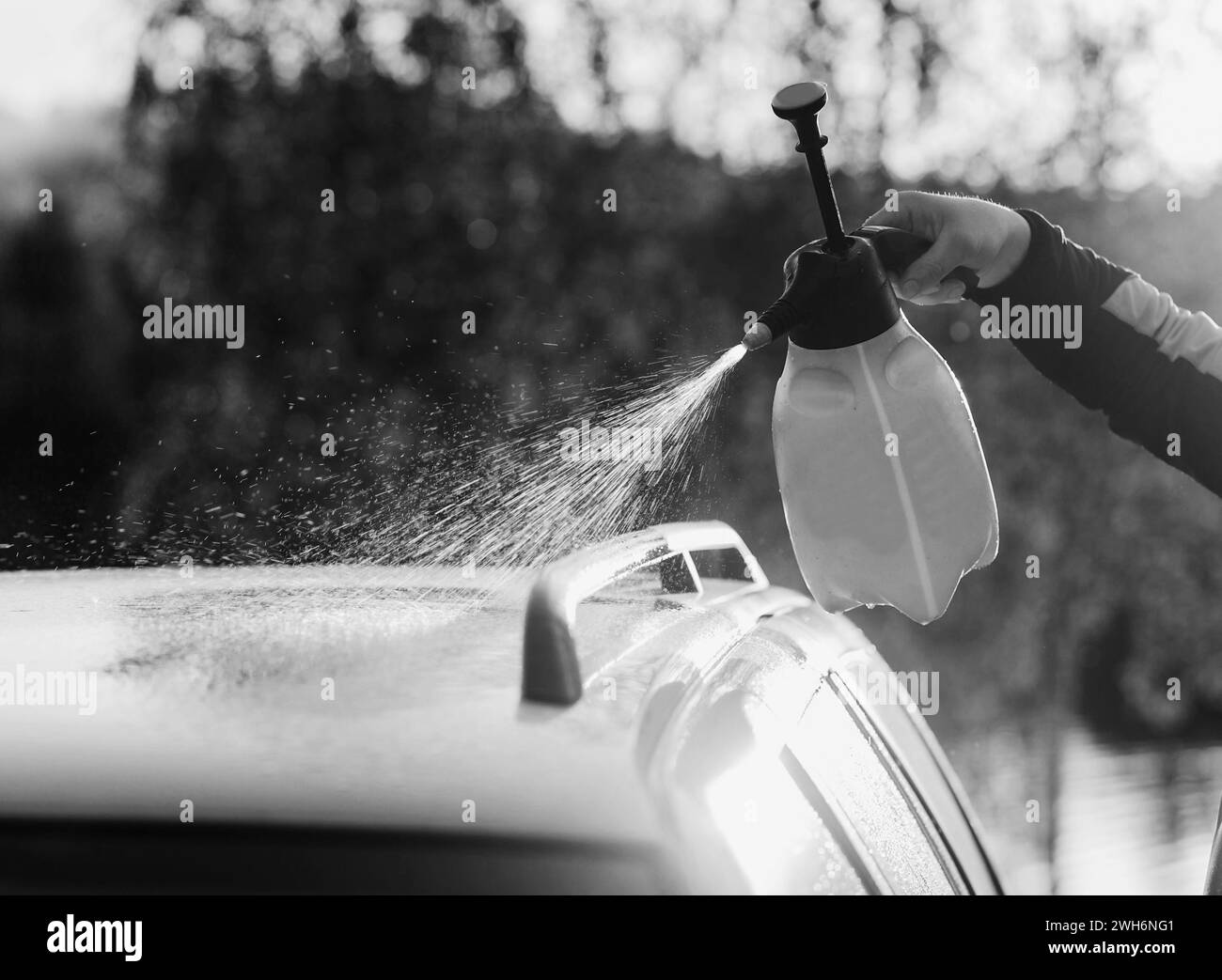 Lavaggio auto all'aperto. Pulizia dell'auto con acqua ad alta pressione. Foto Stock