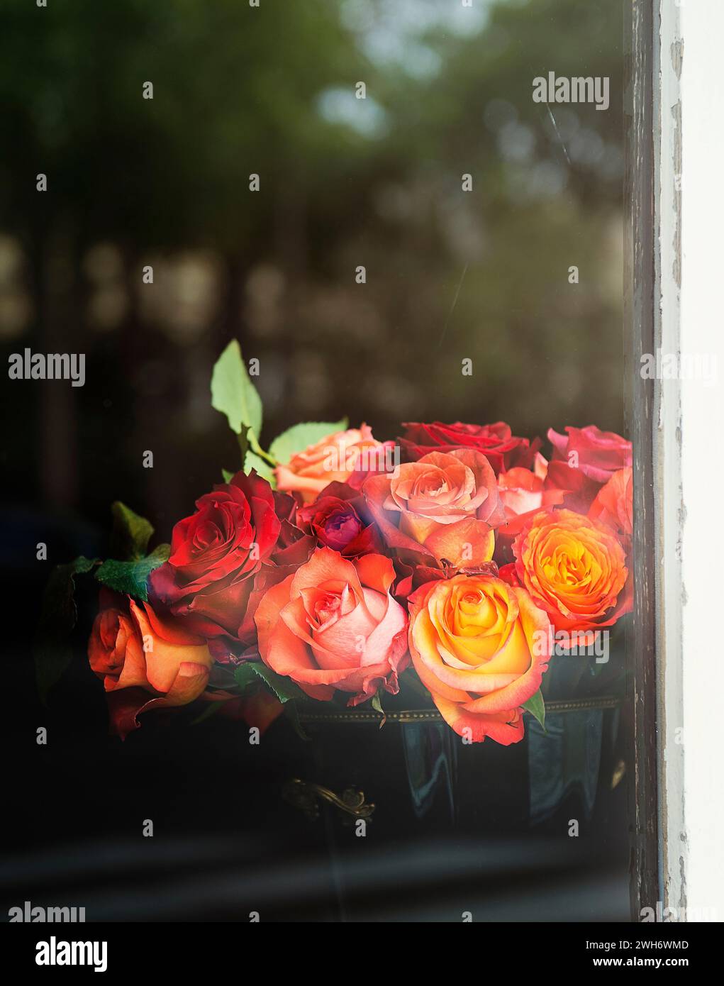 Bouquet di rose attraverso la finestra Foto Stock
