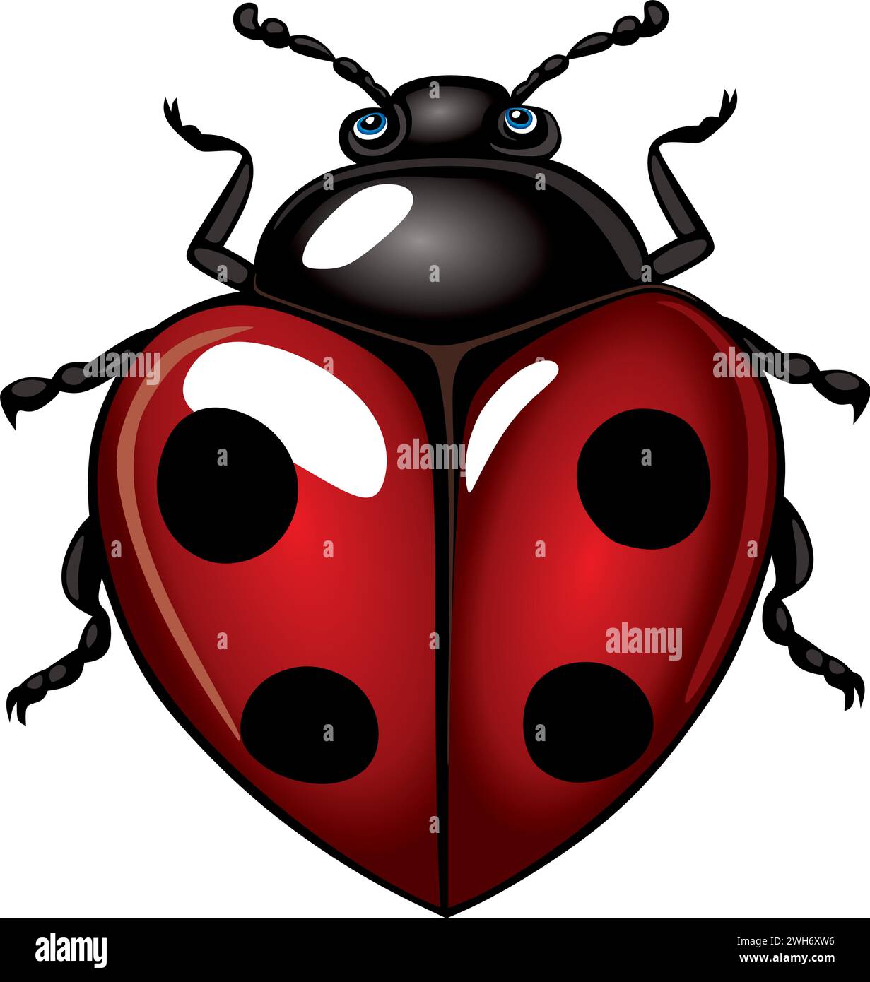 scarabeo coccinello con ali a forma di cuore, vista dall'alto Illustrazione Vettoriale