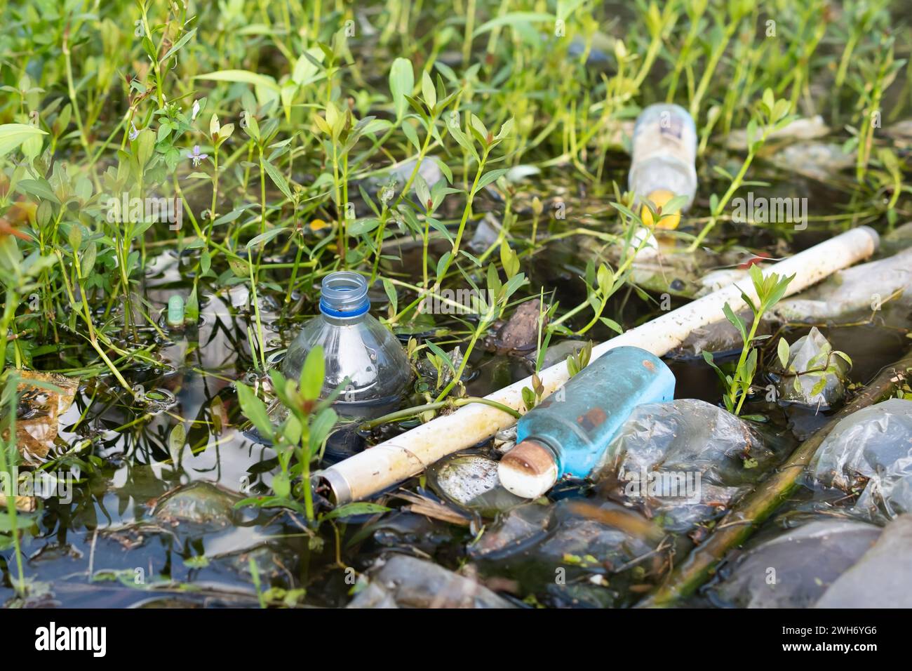 Rifiuti domestici di plastica che galleggiano nell'acqua di piscina, inquinamento ambientale. Foto Stock