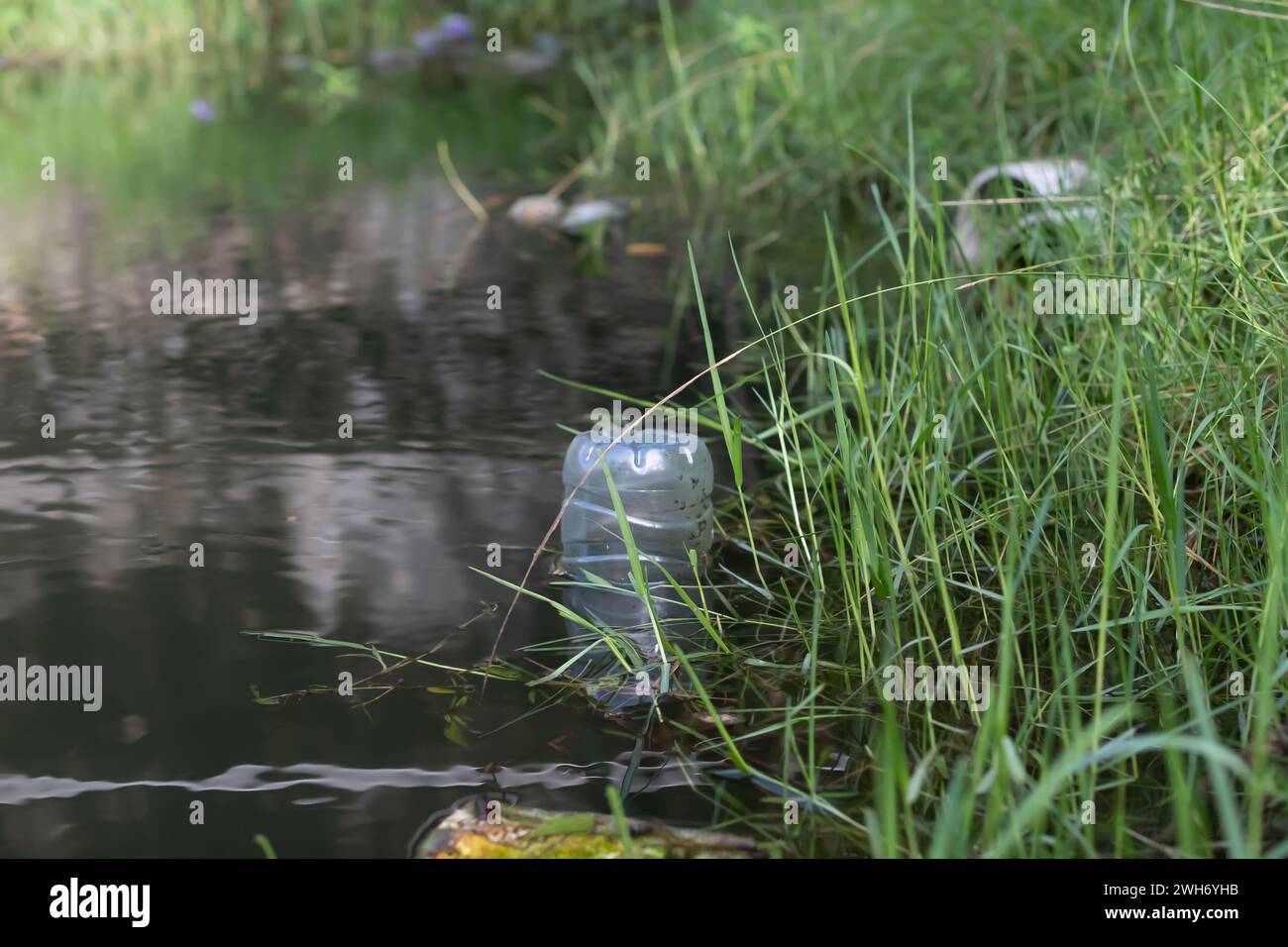 Rifiuti domestici di plastica che galleggiano nell'acqua di piscina, inquinamento ambientale. Foto Stock