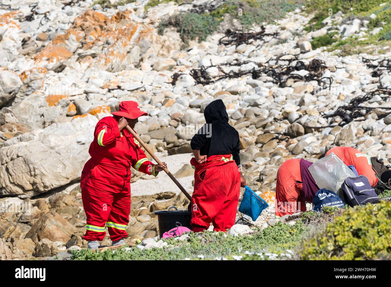 Gruppo di persone o lavoratori municipali in tute da lavoro da vicino durante una pulizia ambientale di una spiaggia nel Capo Occidentale, in Sud Africa Foto Stock