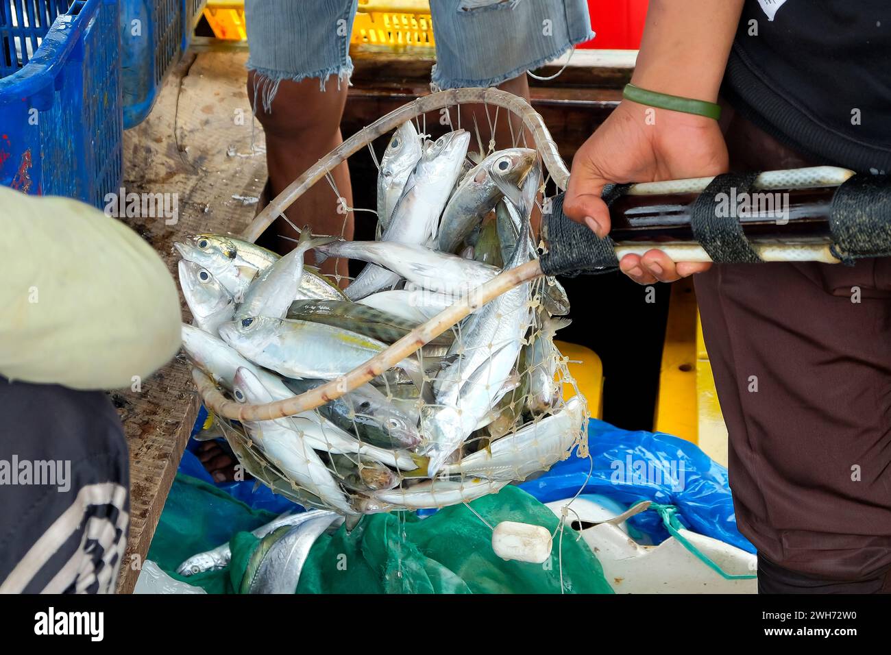 Pesce fresco appena arrivato dal mare catturato dai pescatori nei sogni dei pescatori Foto Stock
