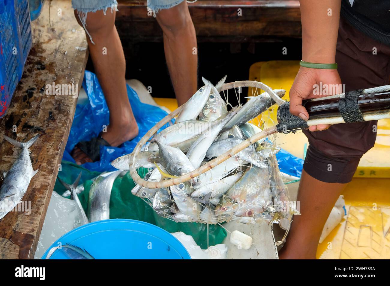 Pesce fresco appena arrivato dal mare catturato dai pescatori nei sogni dei pescatori Foto Stock
