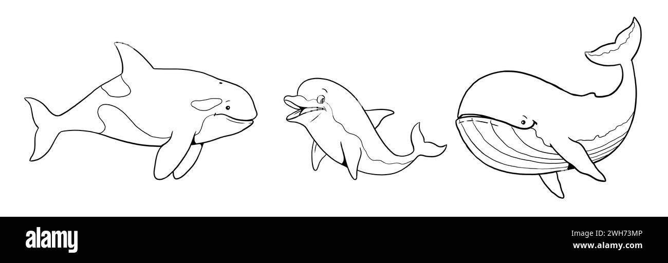 Graziose orche, balene e delfini da colorare. Modello per un libro da colorare con animali divertenti. Modello da colorare per bambini. Foto Stock