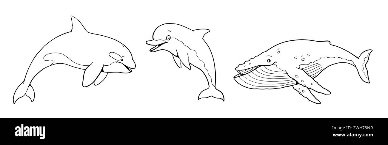 Graziose orche, balene e delfini da colorare. Modello per un libro da colorare con animali divertenti. Modello da colorare per bambini. Foto Stock