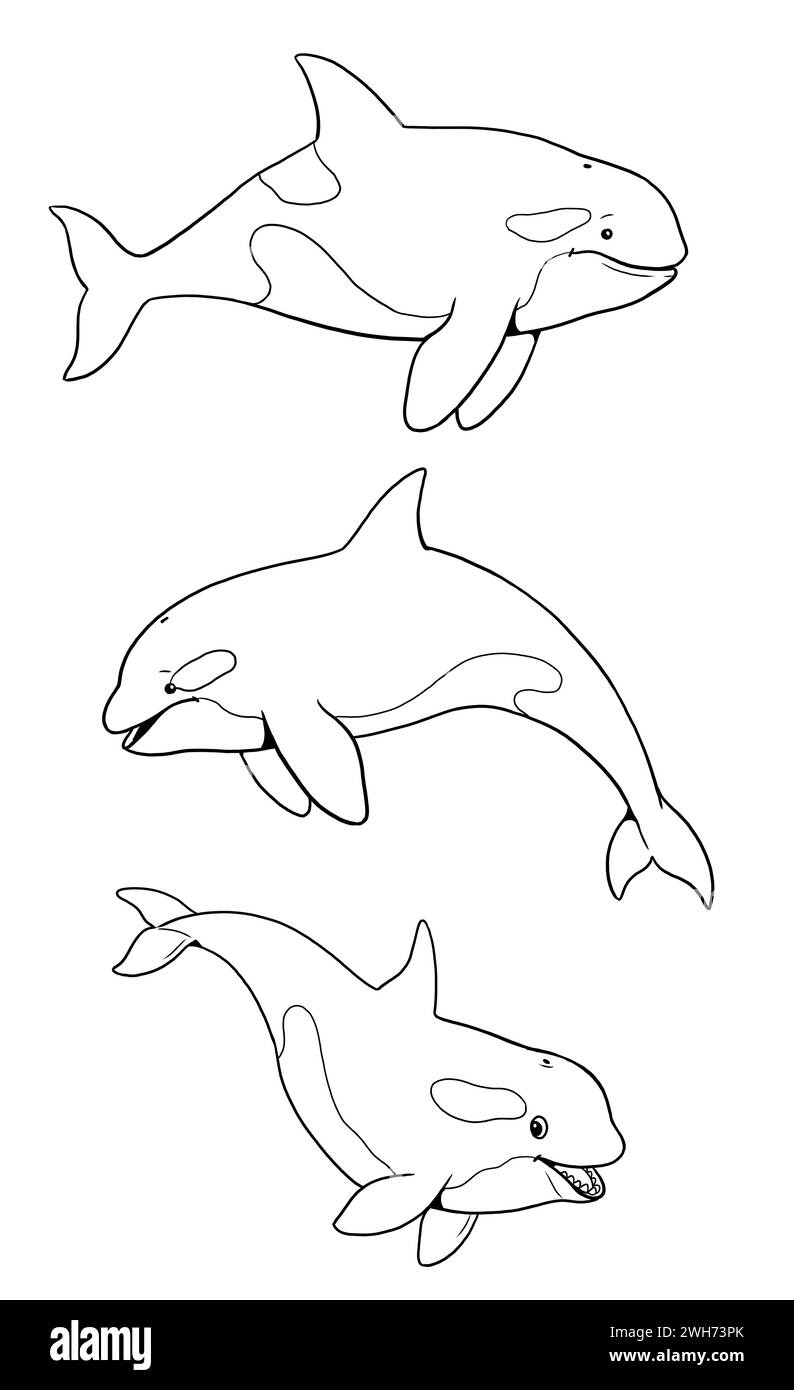 Set con tre divertenti orche da colorare. Modello per un libro da colorare con animali divertenti. Modello da colorare per bambini. Foto Stock