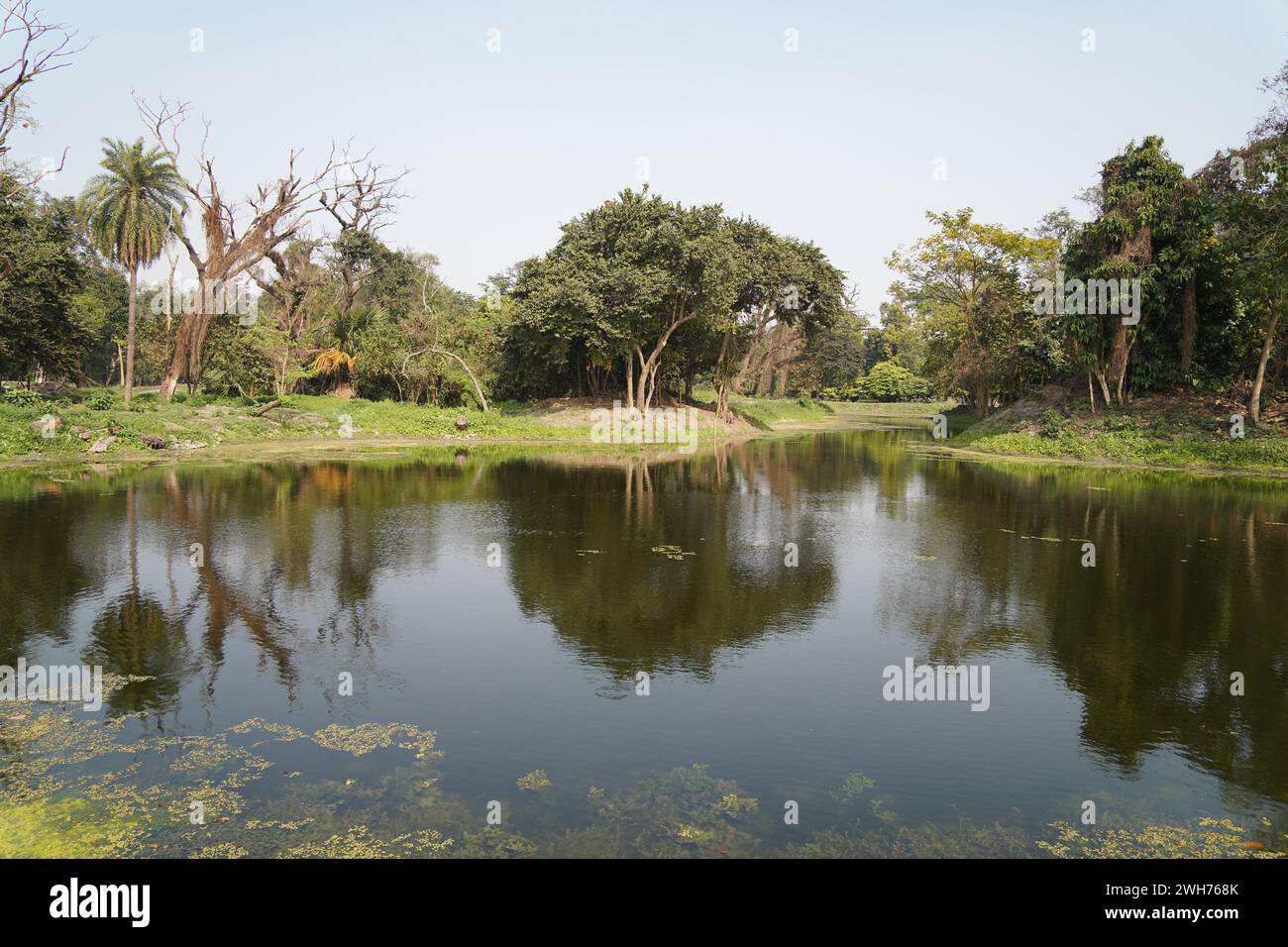 King's Lake. Giardino botanico indiano Acharya Jagadish Chandra Bose. Howrah, Kolkata, Bengala Occidentale, India. Foto Stock