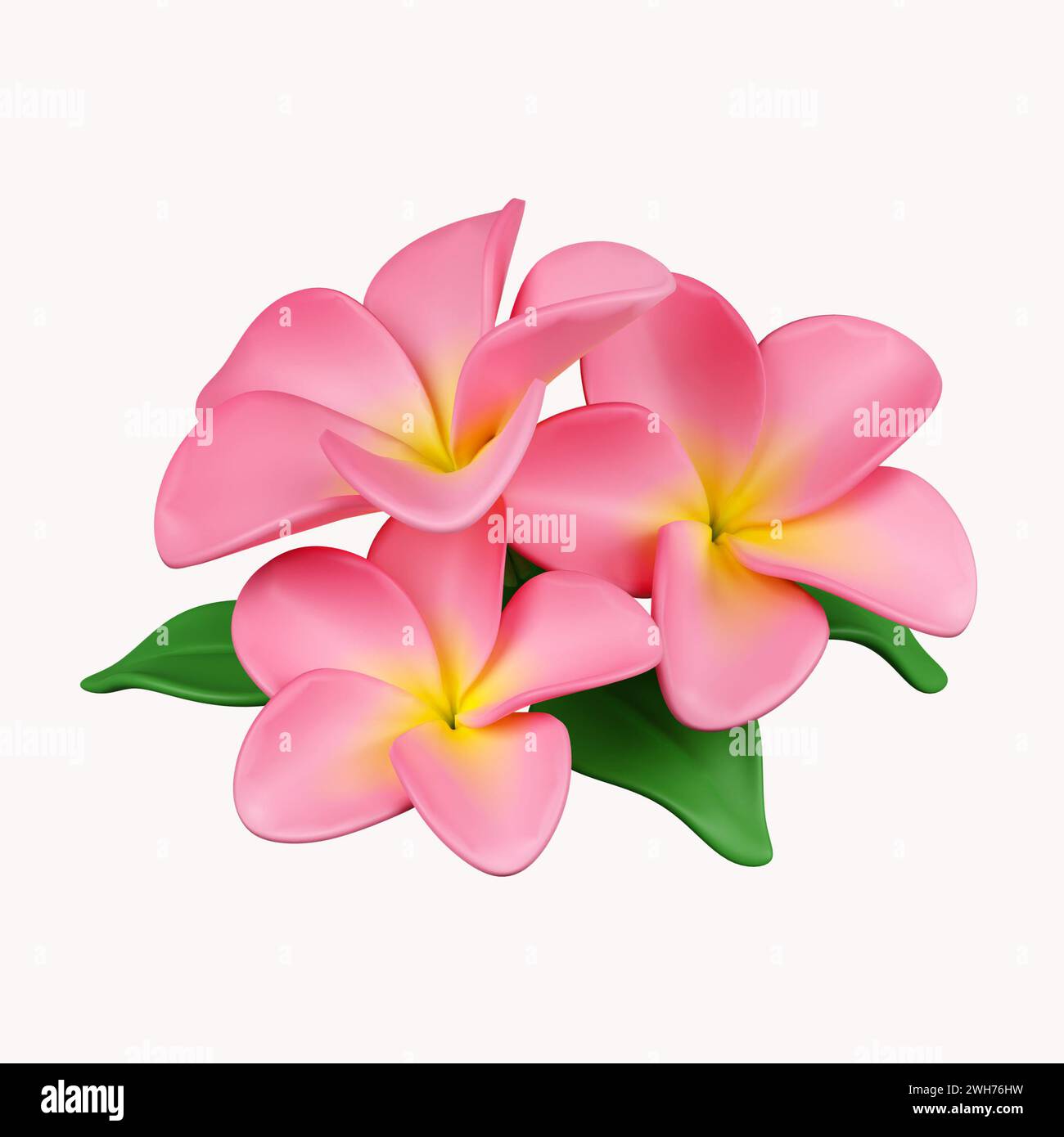 fiori di frangipani 3d .icona isolata su sfondo bianco. illustrazione del rendering 3d. Tracciato di ritaglio. Foto Stock