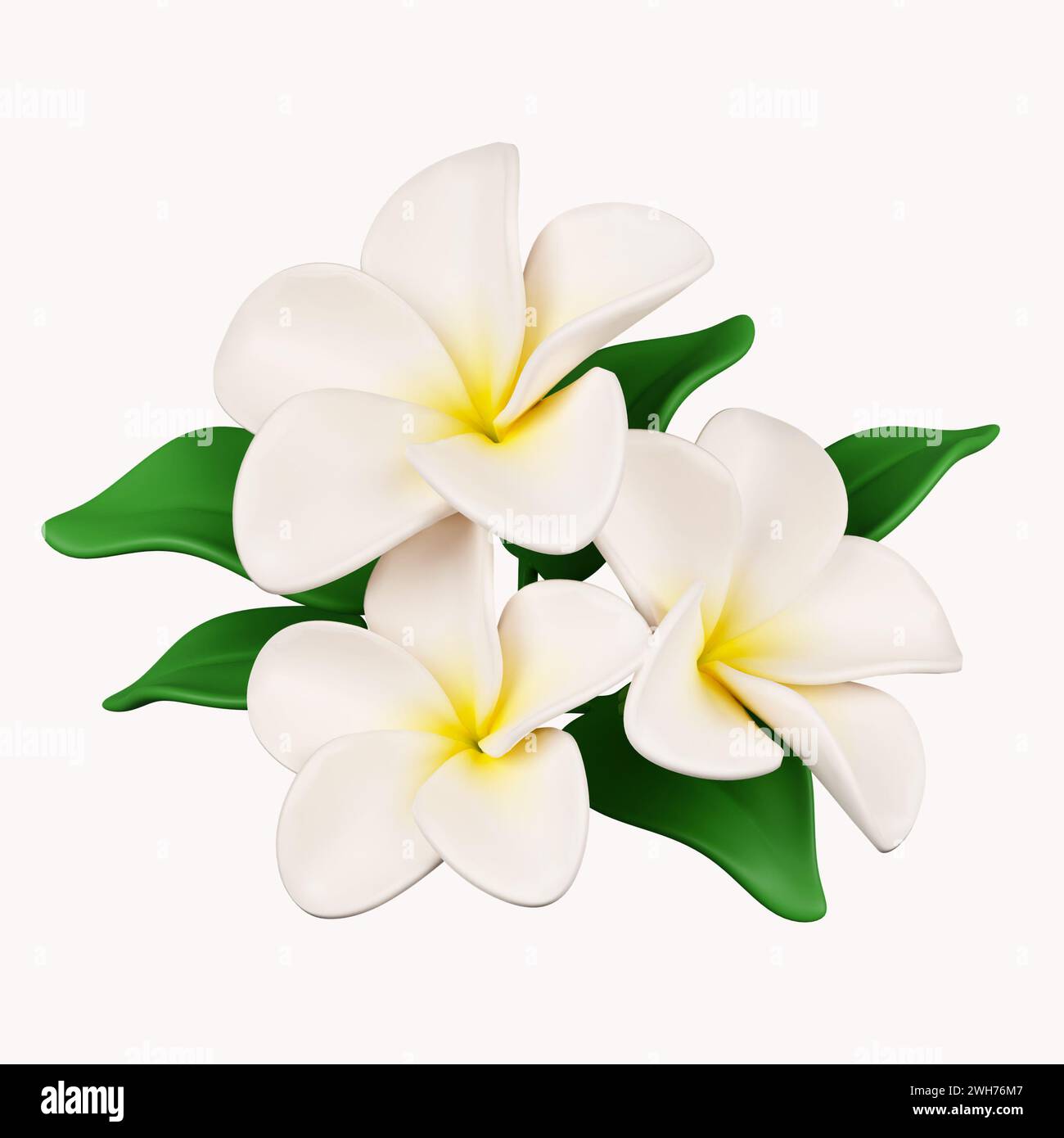 fiori di frangipani 3d .icona isolata su sfondo bianco. illustrazione del rendering 3d. Tracciato di ritaglio. Foto Stock
