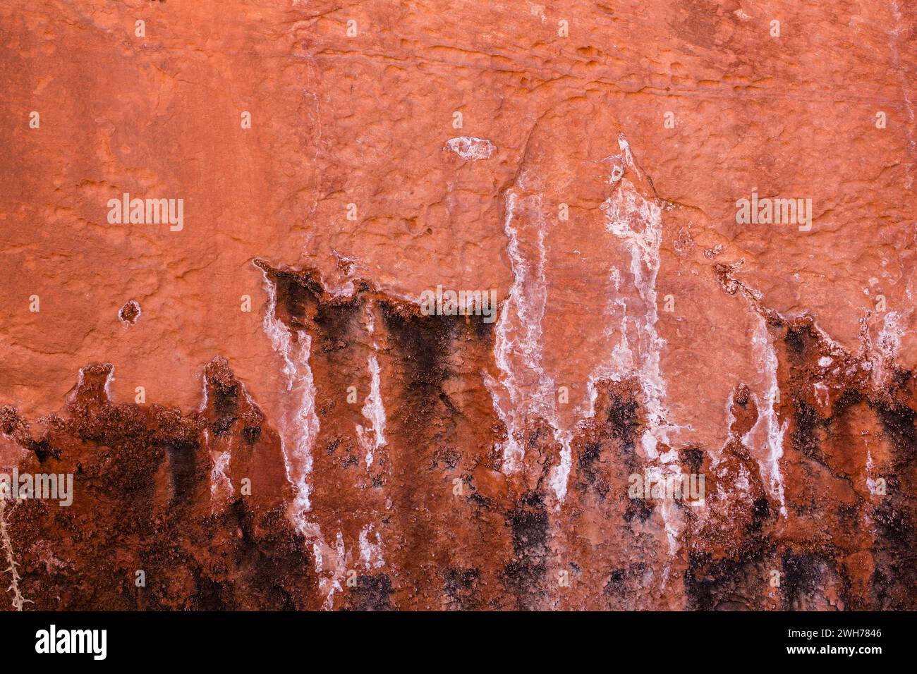 Formazioni di arenaria azteca colorate erose a Little Finland, Gold Butte National Monument, Nevada. Foto Stock