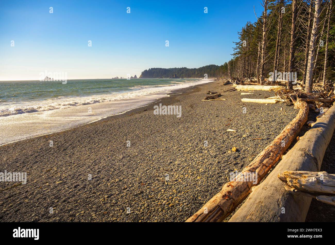 Spiaggia di Rialto con trampolino e palafitte nello stato di Washington Foto Stock