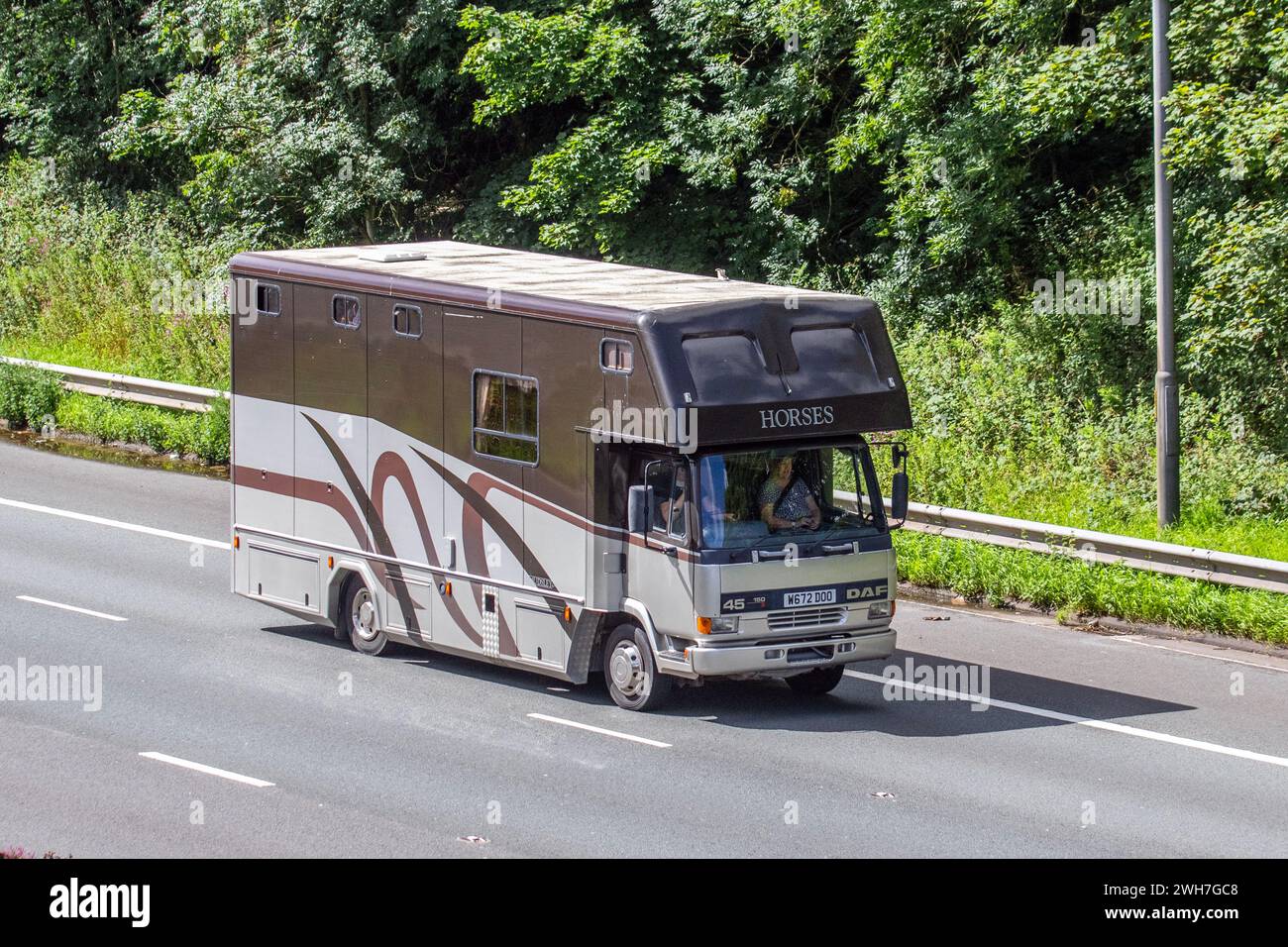 DAF LF45.150 scatola di cavalli color crema marrone che viaggia sull'autostrada M6 nel Regno Unito Foto Stock