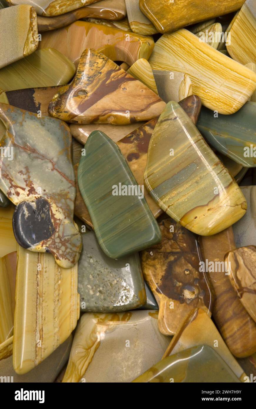 Lucido pezzi di agata, Willamette Agata & Società minerali Rock & Gem Show, Polk County Fairgrounds, Oregon Foto Stock