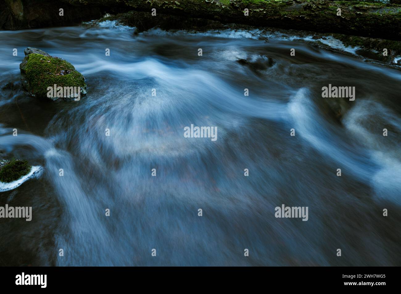 Roccia coperta di muschio nel torrente Forest, lunga esposizione con acqua liscia Foto Stock