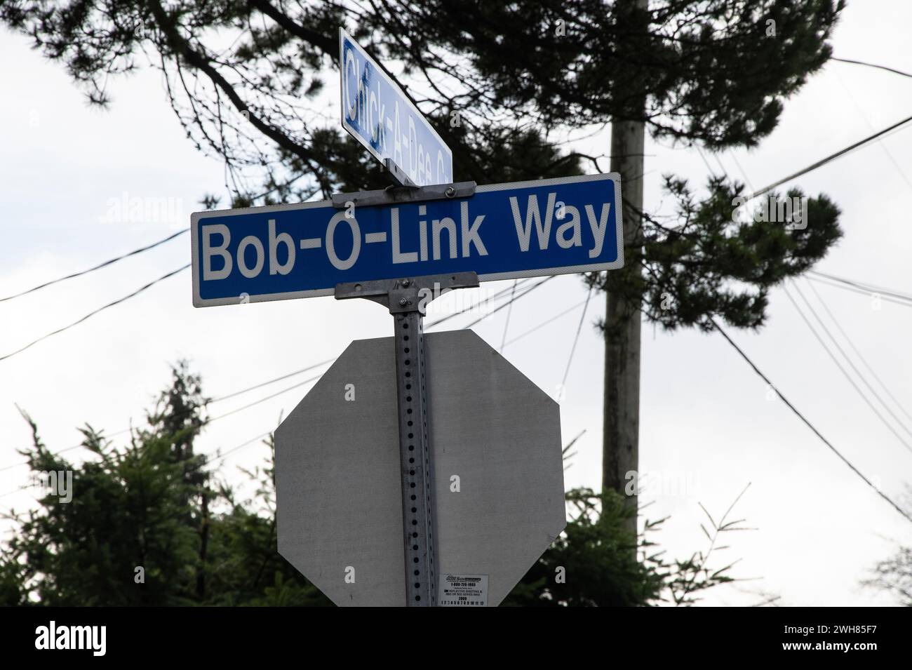 Cartello stradale Bob-o-Link Way a Nanaimo, British Columbia, Canada Foto Stock