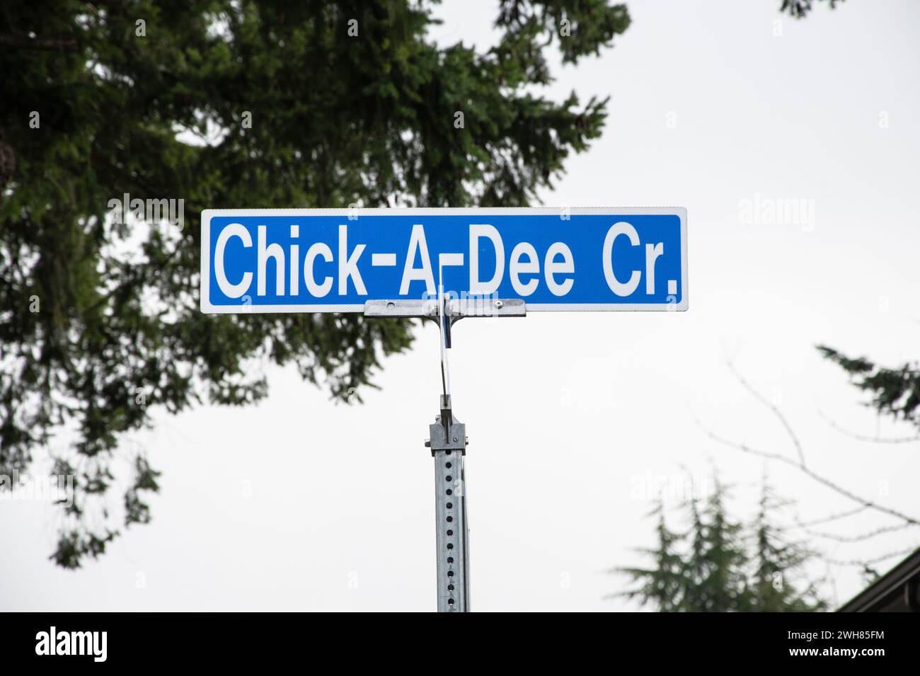Cartello stradale Chick-A-Dee Crescent a Nanaimo, British Columbia, Canada Foto Stock