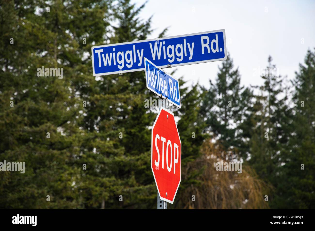 Cartello stradale Twiggly Wiggly Road a Nanaimo, Columbia Britannica, Canada Foto Stock