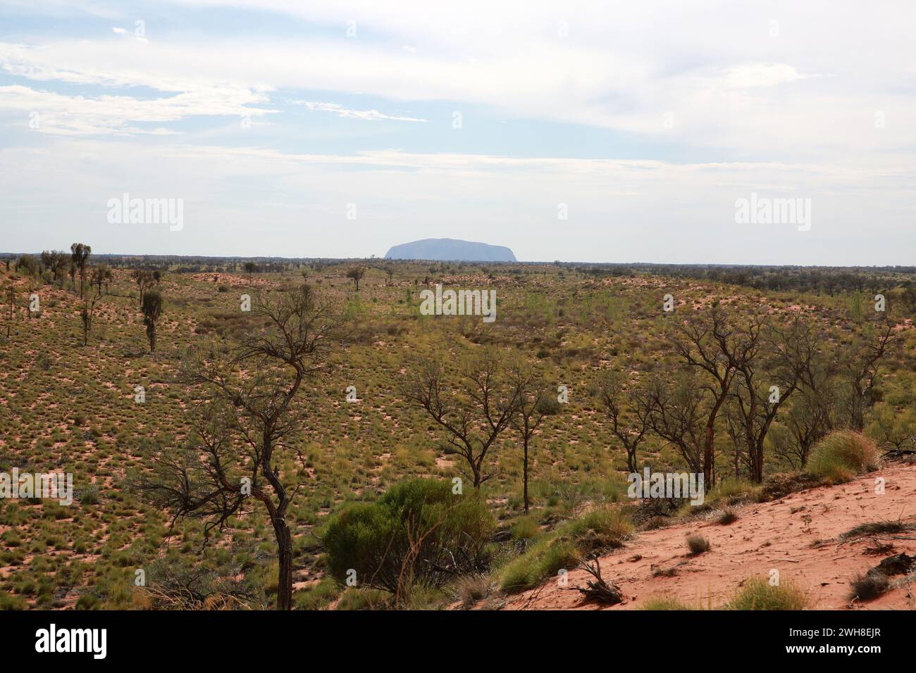 Parco nazionale di Uluṟu-Kata Tjuṯa, Ayers Rock, Australia Foto Stock
